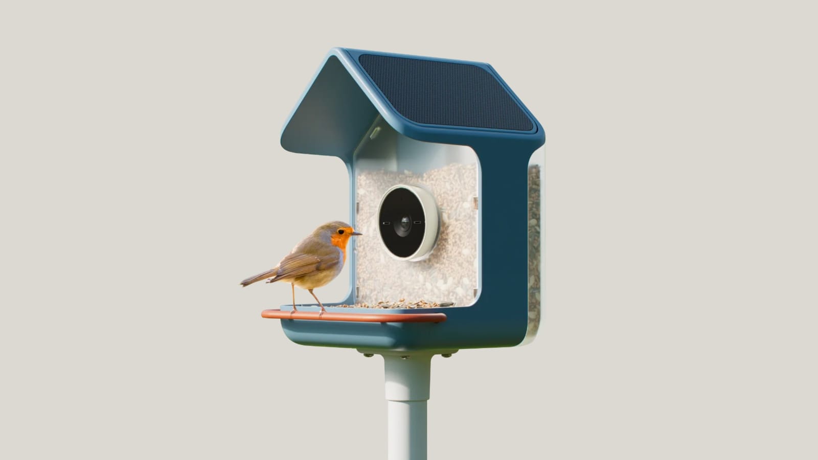 Bird Buddy, AI-powered bird feeders